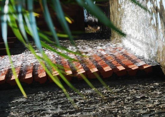 March 3 B&B Yilan 羅東鎮 部屋 写真
